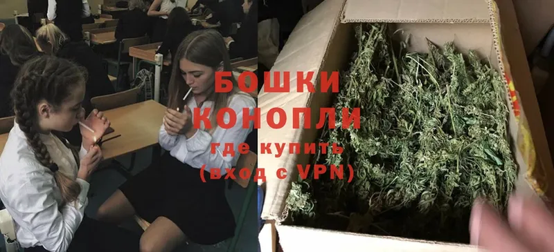 дарнет шоп  Барыш  Шишки марихуана OG Kush 